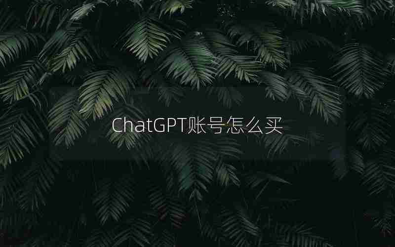 ChatGPT账号怎么买