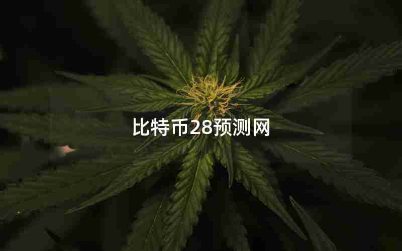 比特币28预测网