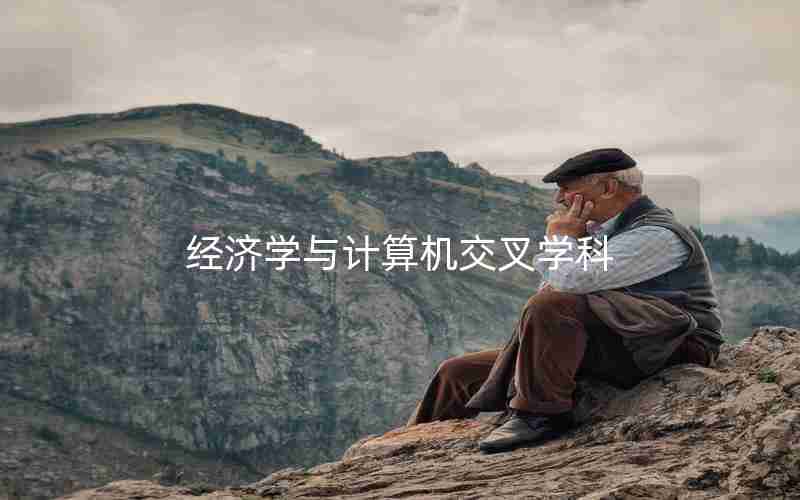 经济学与计算机交叉学科