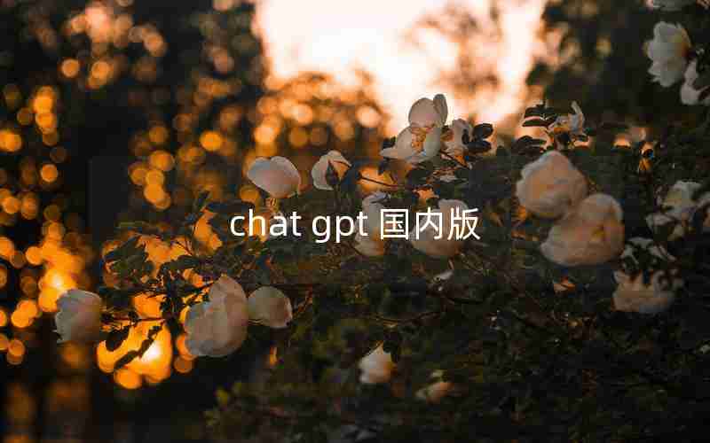 chat gpt 国内版 chat gpt 国内版