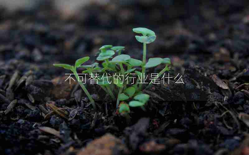 不可替代的行业是什么 不可替代的行业是什么