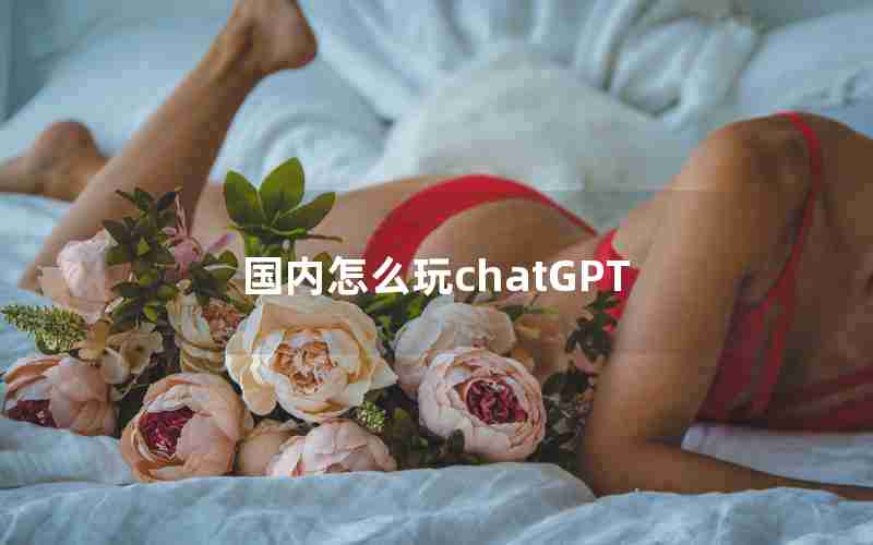 国内怎么玩chatGPT 国内怎么玩chatGPT
