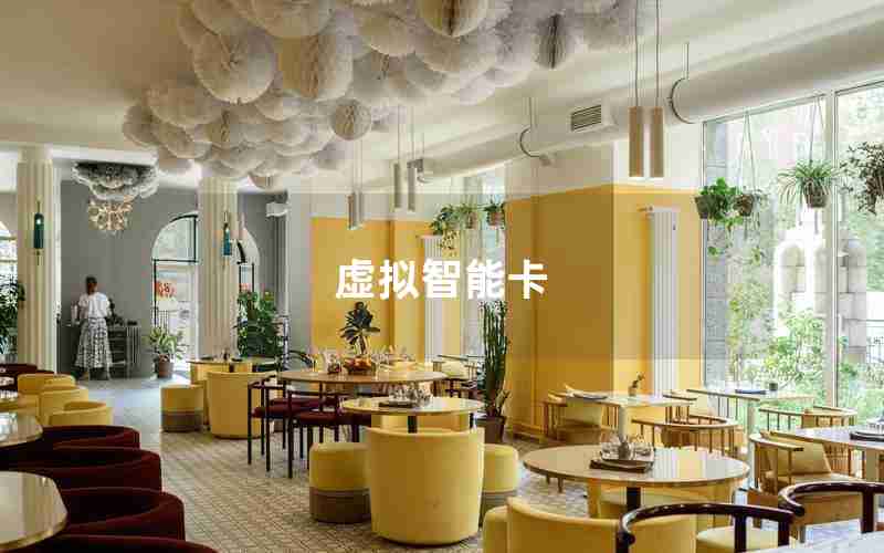 虚拟智能卡 虚拟智能卡