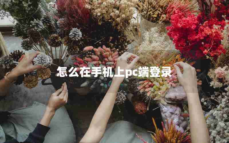 怎么在手机上pc端登录