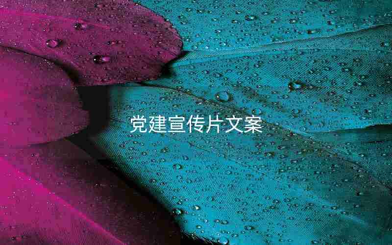 党建宣传片文案 党建宣传片文案