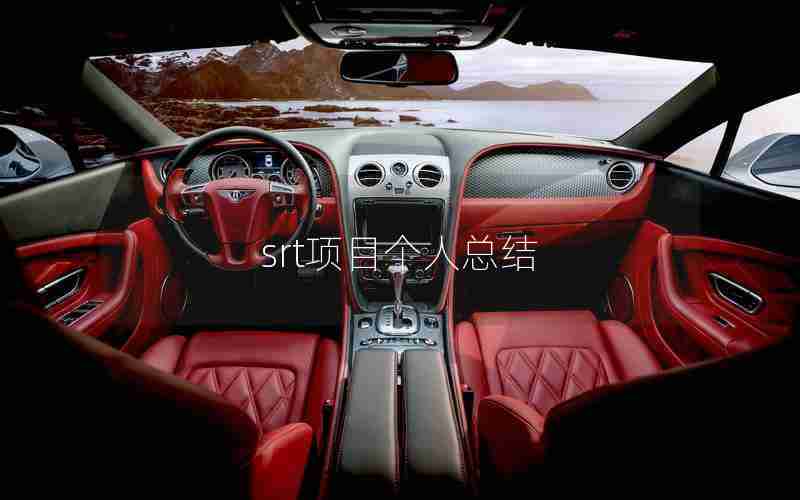 srt项目个人总结 srt项目个人总结