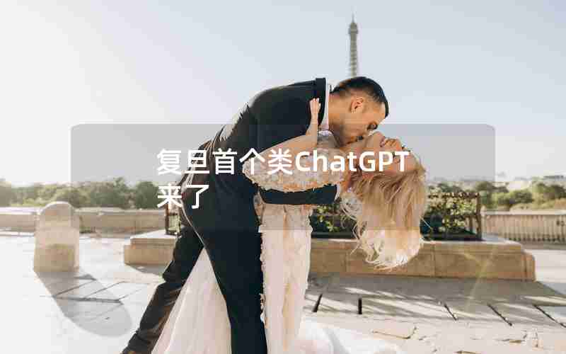 复旦首个类ChatGPT来了