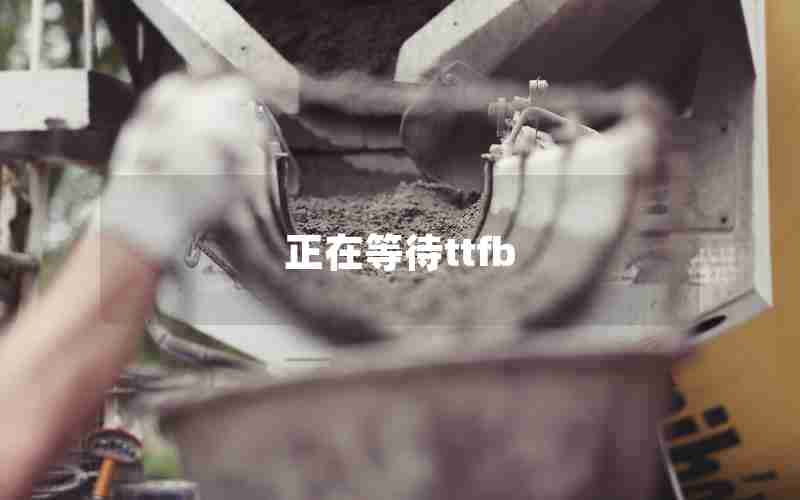 正在等待ttfb