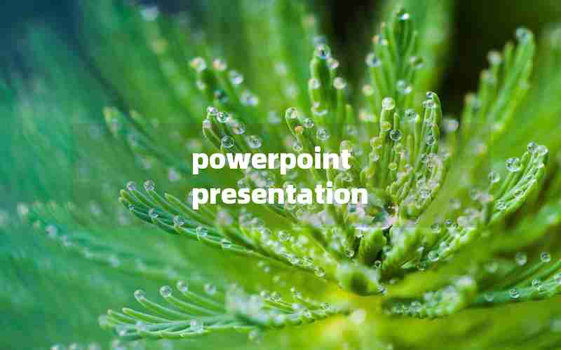 powerpoint presentation