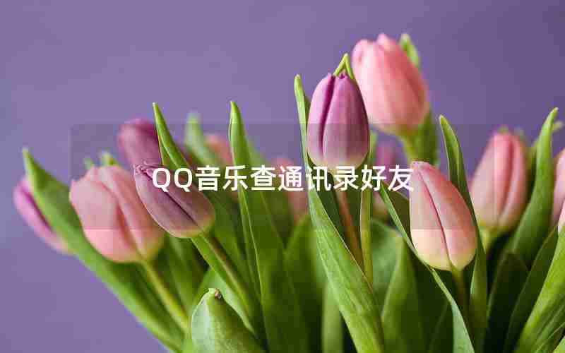 QQ音乐查通讯录好友
