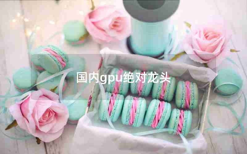 国内gpu绝对龙头