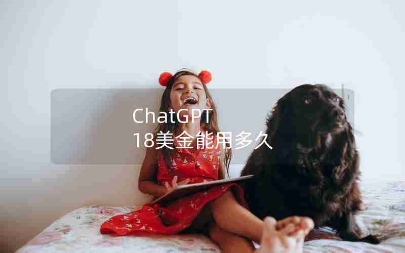 ChatGPT 18美金能用多久 ChatGPT 18美金能用多久