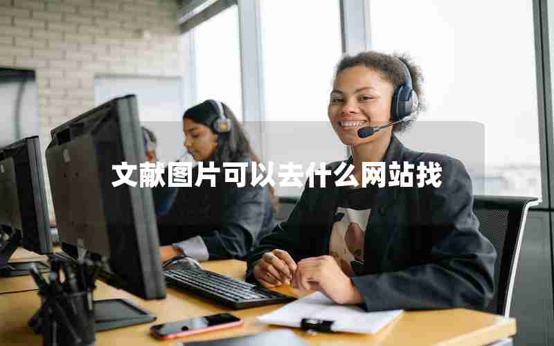 文献图片可以去什么网站找