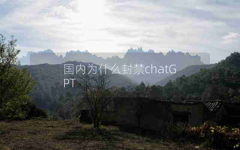 国内为什么封禁chatGPT
