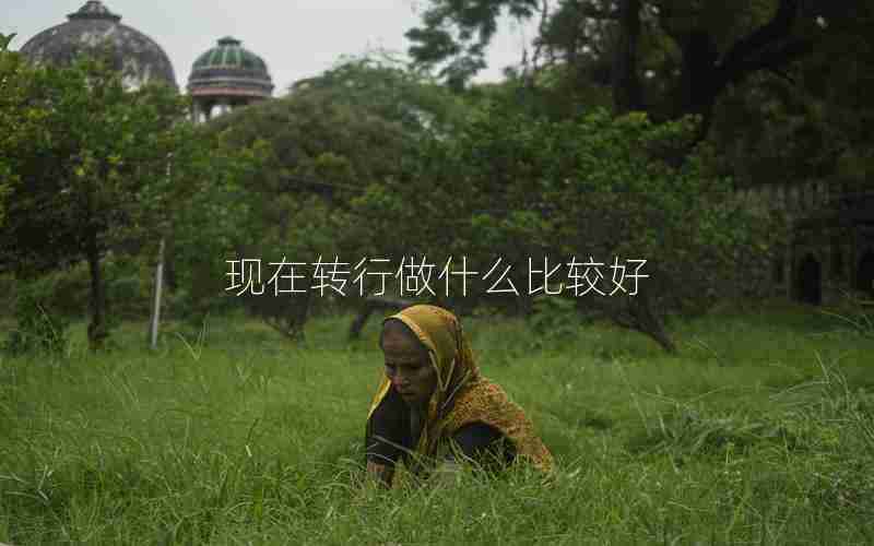 现在转行做什么比较好