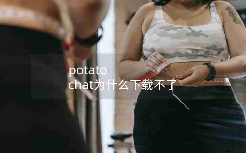 potato chat为什么下载不了