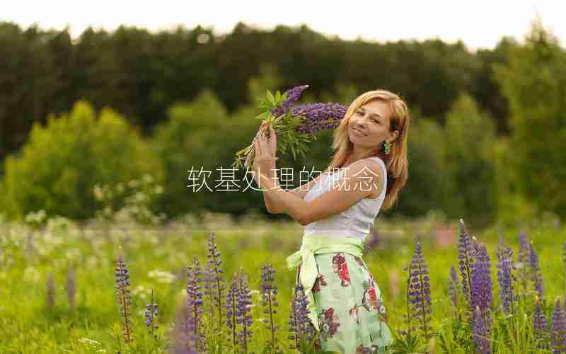 软基处理的概念 软基处理的概念