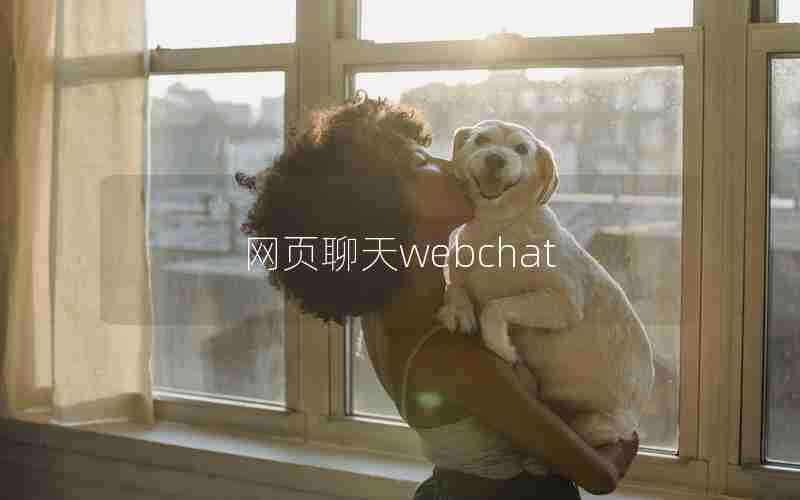 网页聊天webchat