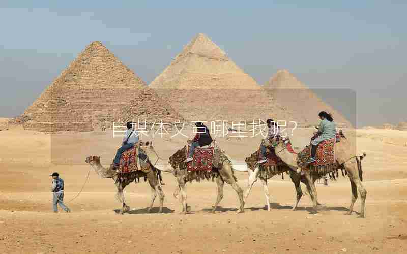 自媒体文章哪里找呢?