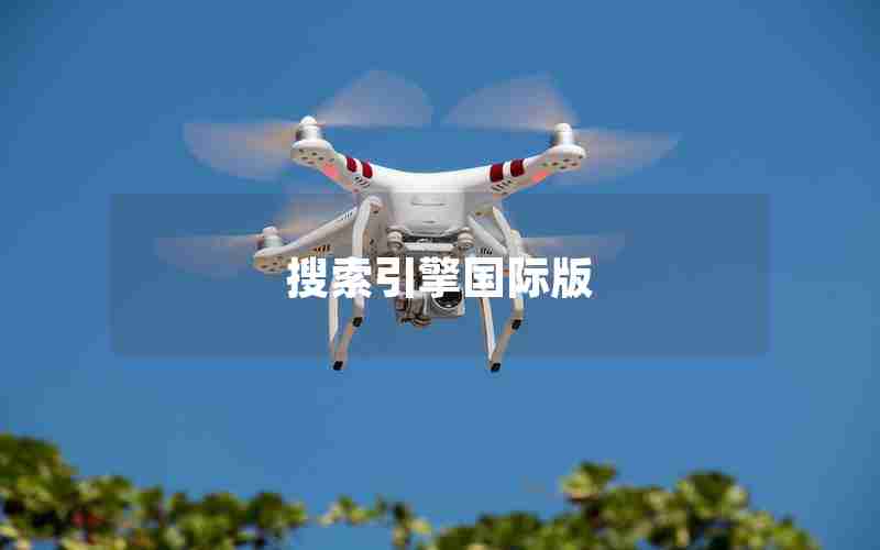 搜索引擎国际版