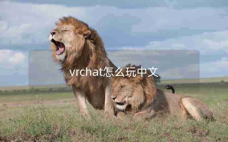 vrchat怎么玩中文
