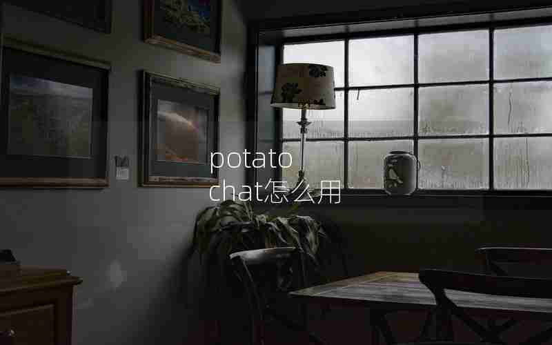 potato chat怎么用 potato chat怎么用
