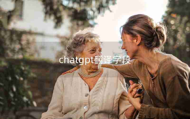chatgpt翻译字段