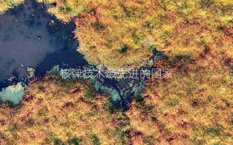 核弹技术最先进的国家