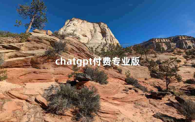 chatgpt付费专业版 chatgpt付费专业版