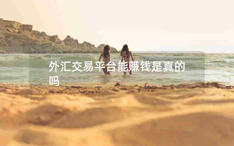 外汇交易平台能赚钱是真的吗 外汇交易平台能赚钱是真的吗