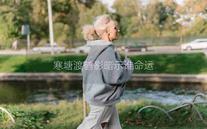 寒塘渡鹤影暗示谁命运