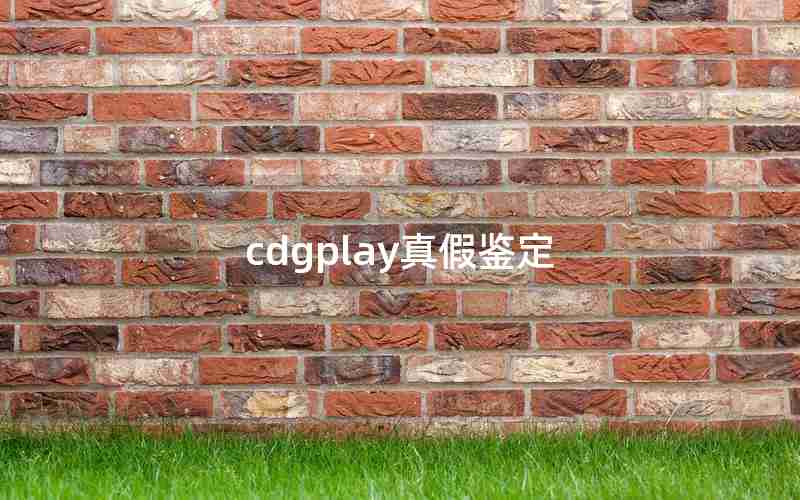 cdgplay真假鉴定