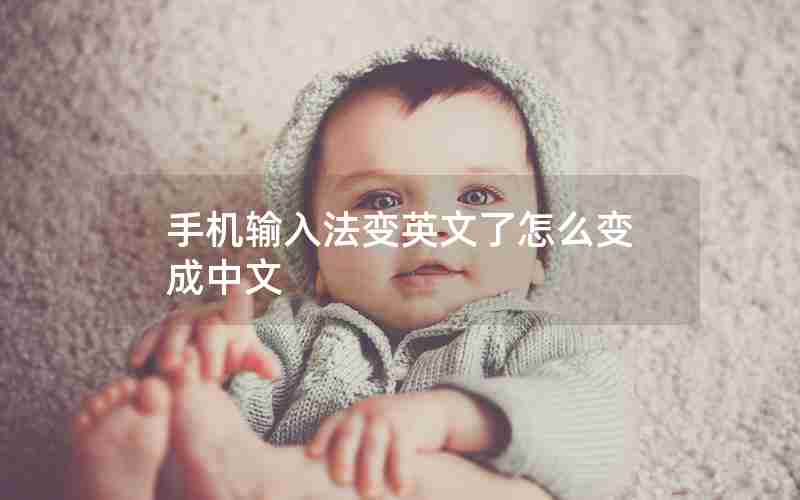 手机输入法变英文了怎么变成中文