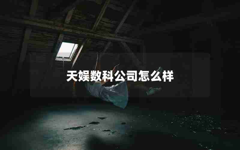 天娱数科公司怎么样