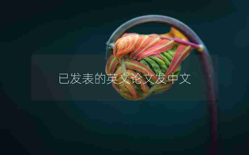 已发表的英文论文发中文 已发表的英文论文发中文