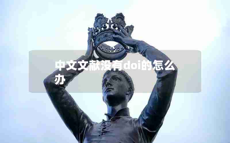 中文文献没有doi的怎么办