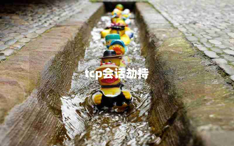 tcp会话劫持 tcp会话劫持