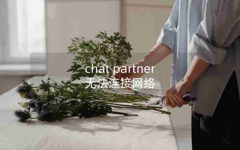 chat partner无法连接网络 chat partner无法连接网络