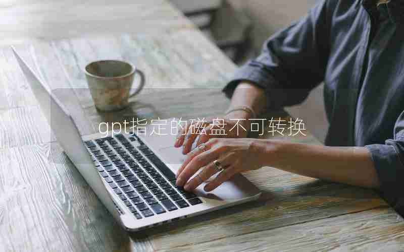 gpt指定的磁盘不可转换