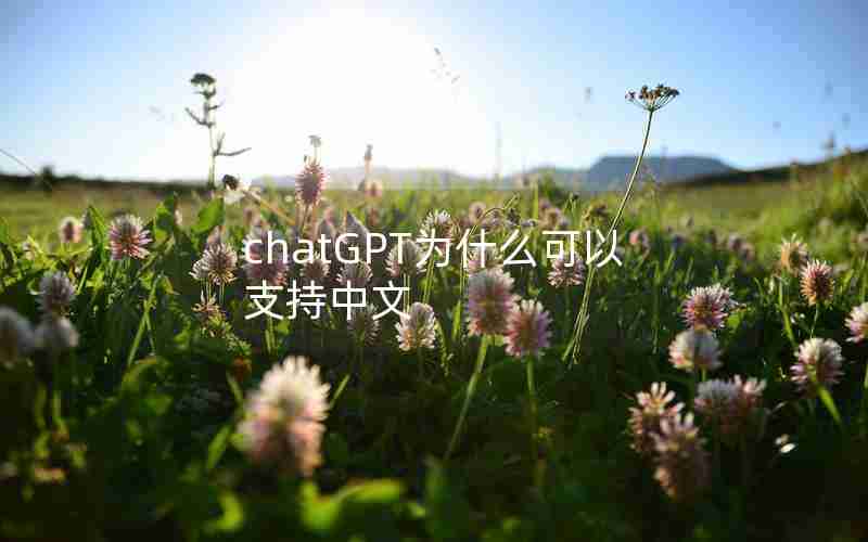 chatGPT为什么可以支持中文 chatGPT为什么可以支持中文