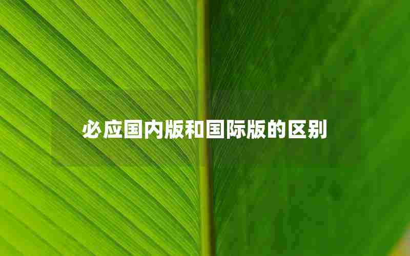 必应国内版和国际版的区别 必应国内版和国际版的区别
