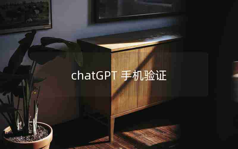 chatGPT 手机验证