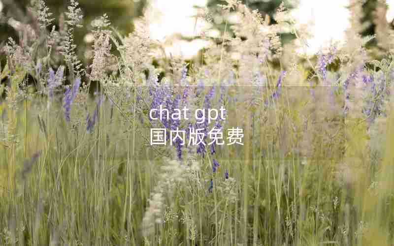 chat gpt 国内版免费 chat gpt 国内版免费