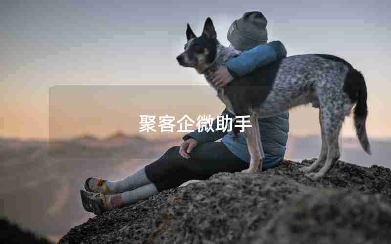 聚客企微助手 聚客企微助手