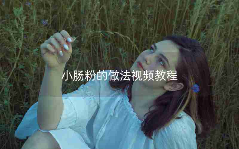 小肠粉的做法视频教程 小肠粉的做法视频教程