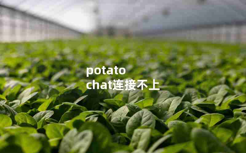 potato chat连接不上 potato chat连接不上