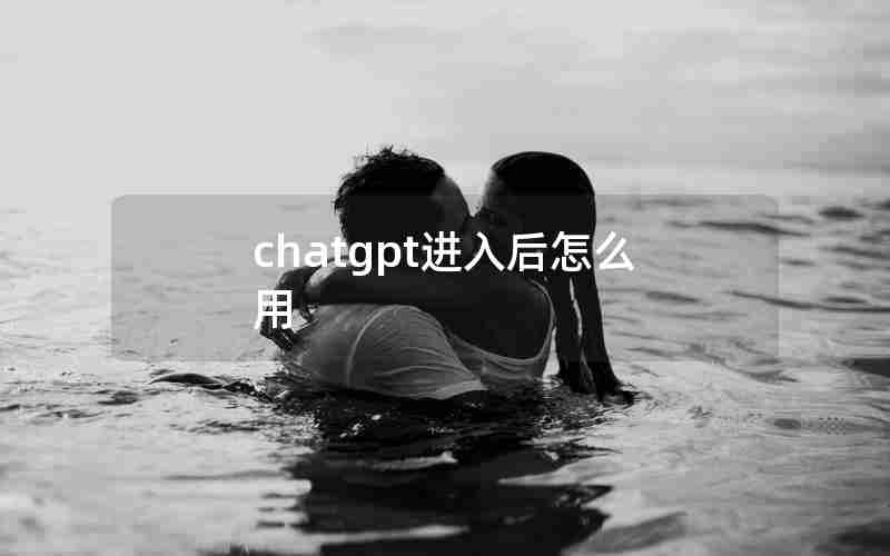 chatgpt进入后怎么用 chatgpt进入后怎么用