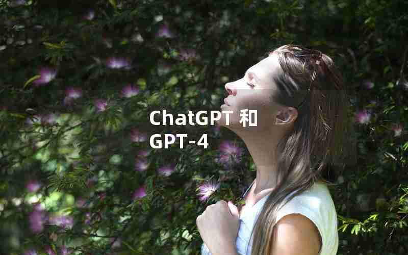 ChatGPT 和 GPT-4 ChatGPT 和 GPT-4