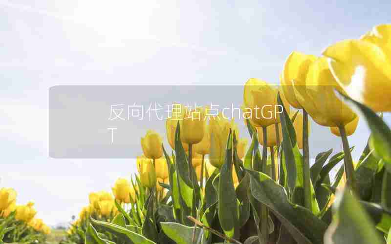 反向代理站点chatGPT