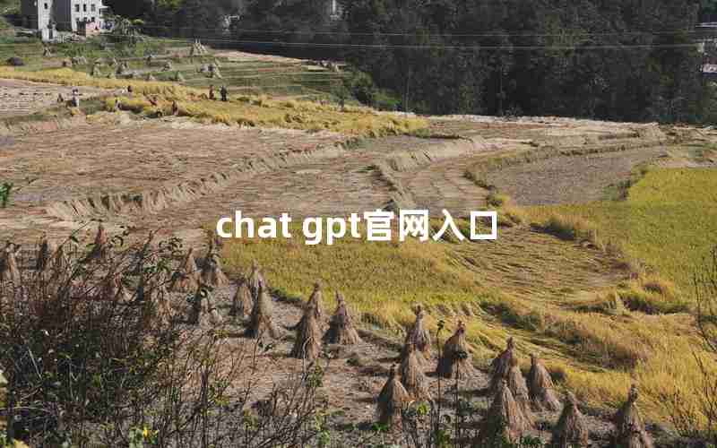 chat gpt官网入口